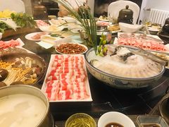 河豚-中苑海韵