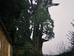 -云中大漈