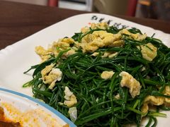 -靖远尕六美味羊羔肉