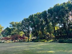 -申粤轩·手工点心·金牌烧味·经典粤菜(丁香花园店)