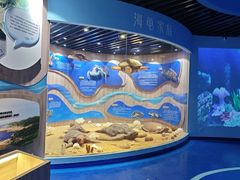 -广东惠东海龟国家级自然保护区