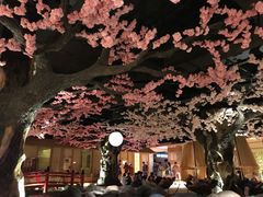 -蓝鲸湾汤泉(包河店)