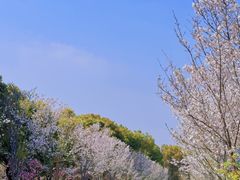 -柳鹭田园区