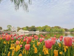 -上海鲜花港