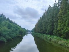 -黄海国家森林公园