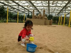 景点-南宫五洲植物乐园