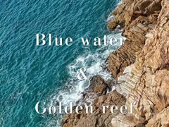 -广东惠东海龟国家级自然保护区