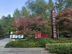 -昆山城市生态森林公园