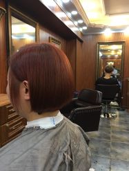 -小齐发型Star·Salon