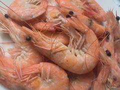 -宾朋海鲜特色美食餐厅·纯手工鲅鱼水饺(兴海路店)