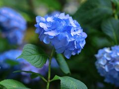 -常州古运河南大街文化旅游区-人民公园