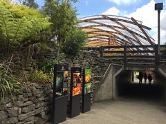 -怀托摩萤火虫洞