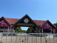 -上海海湾国家森林公园