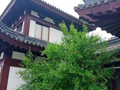 -孙武文化园-停车场