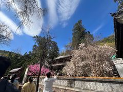 -潭柘寺景区