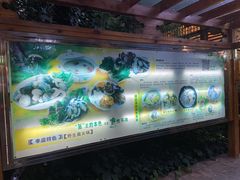 -山大王菌莊