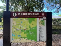 -奈良公园