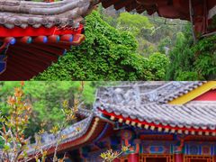 -华清宫景区