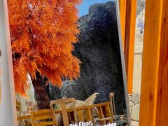 -Blue Concept Cafe&Farm·關於藍