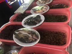 -可心烤鱼