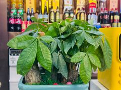 -牛天下·海鲜·牛肉·打边炉·融合菜