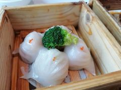 -粤式早茶希朋喜宴