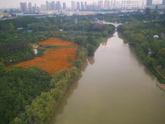 -祥源·阜阳生态乐园