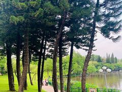 -深圳龙潭公园