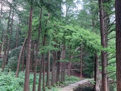 -四明山国家森林公园