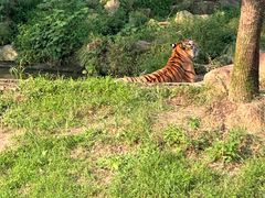 -杭州野生动物世界