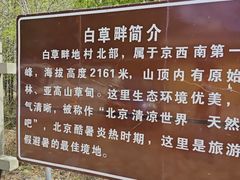 -白草畔自然风景区