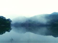 莲花湖-广州市石门国家森林公园