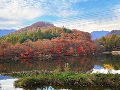 -本溪汤沟绿石谷森林公园