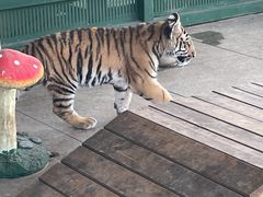 -秦皇岛野生动物园