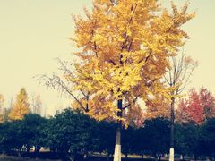 -白塘生态植物园