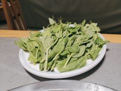 -蜀留香火锅·始于1999·原四川老火锅(白堤路店)