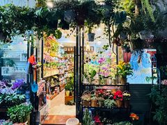 -溪岸路花鸟市场