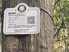 -都江堰普照寺