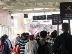 -武汉关码头(轮渡站)