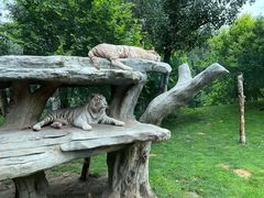 -北京野生动物园