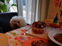 -百好乐宠物友好餐厅(朝外大街店)