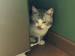 -柯斗斗主题餐厅·狗咖·围炉煮茶·茶饮(国瑞升平里店)