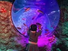 -沈阳海洋探索中心