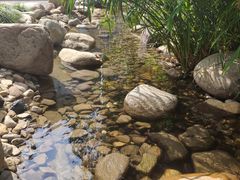 -活水公园