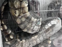 -渔人湾码头海鲜市场负二楼