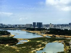 -立新湖公园