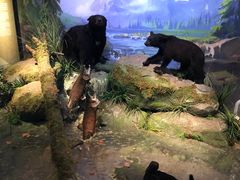 -贝林大翅鲸简餐厅(国家海洋博物馆店)