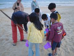 -海南清水湾莱佛士酒店