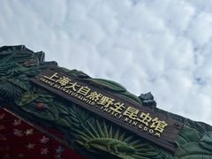 -上海大自然野生昆虫馆
