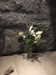 -美壹生皮肤管理中心